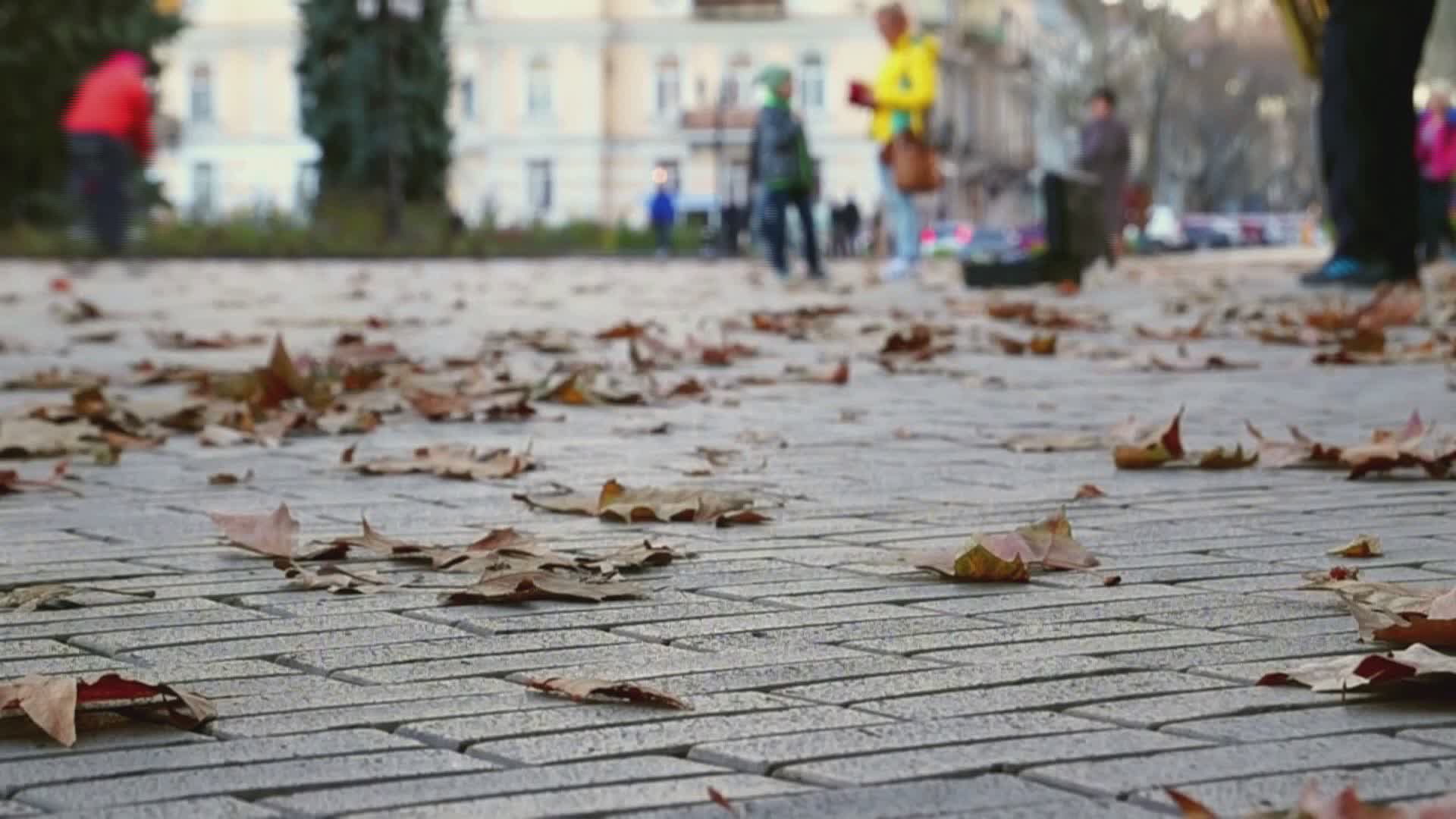 BLUE MONDAY - E' DAVVERO IL GIORNO PIU' TRISTE DELL'ANNO? - Video